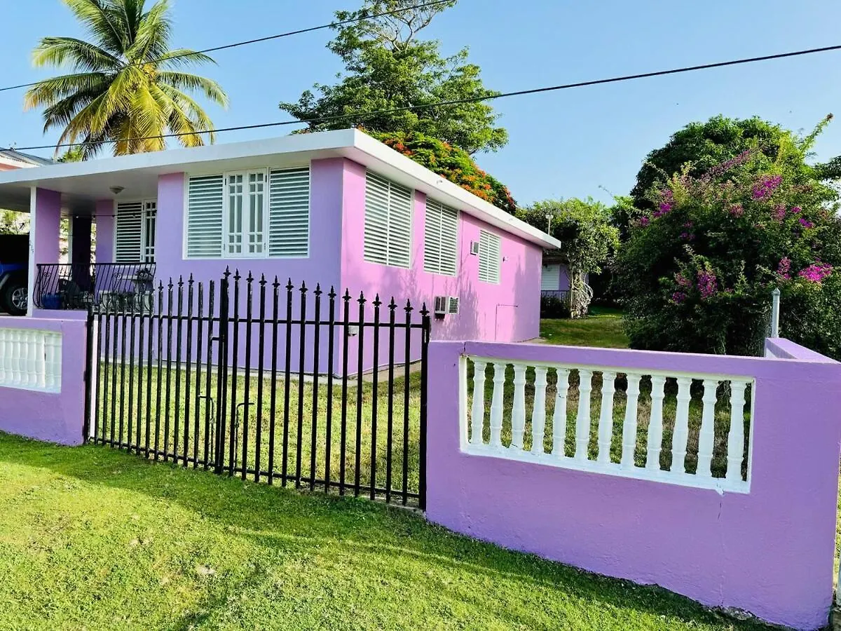 Purple Sunset - Walk To Malecon & Beaches Vieques Holiday home