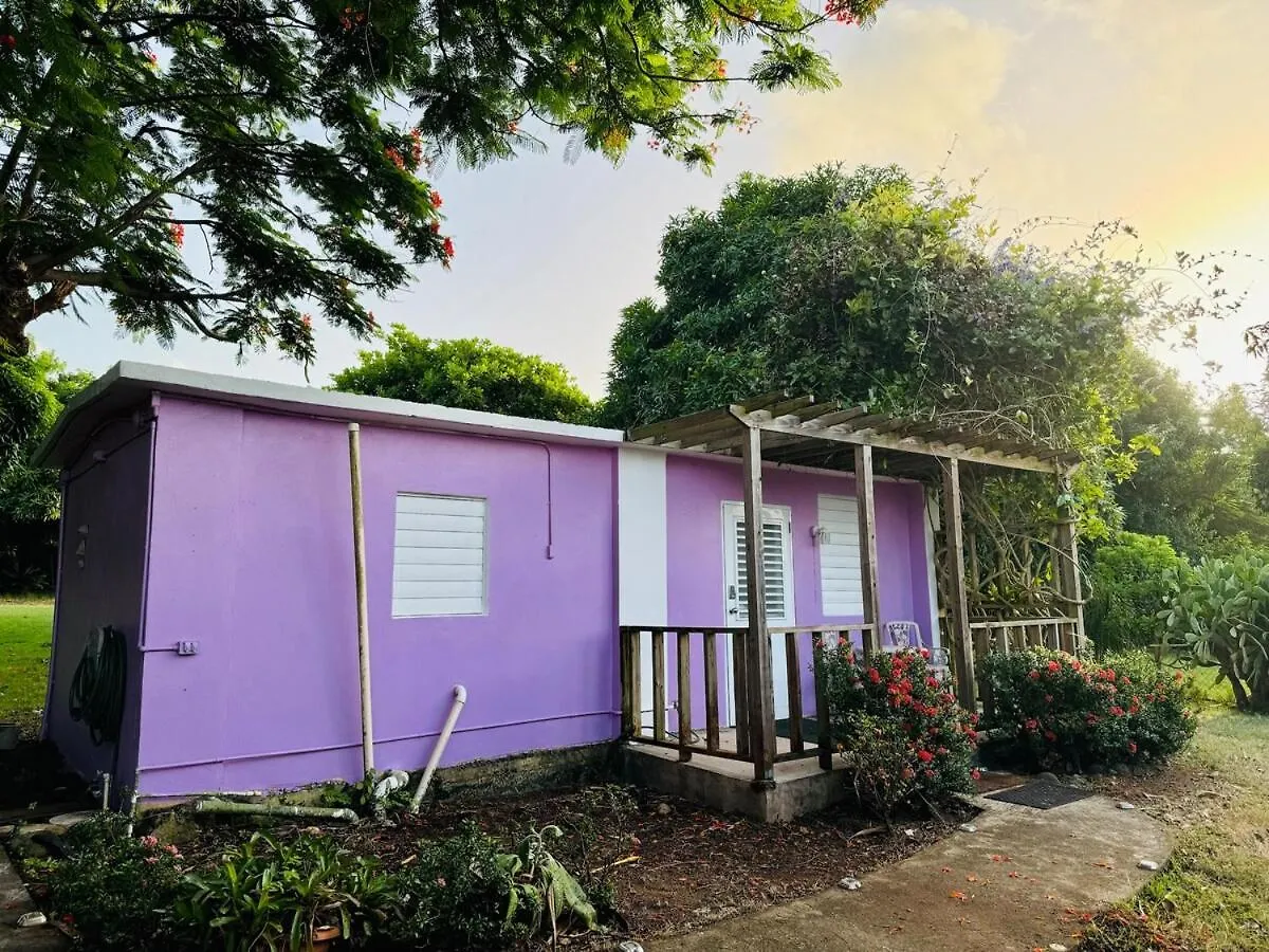Purple Sunset - Walk To Malecon & Beaches Vieques 0*,  Puerto Rico