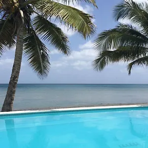 Bravo Vieques